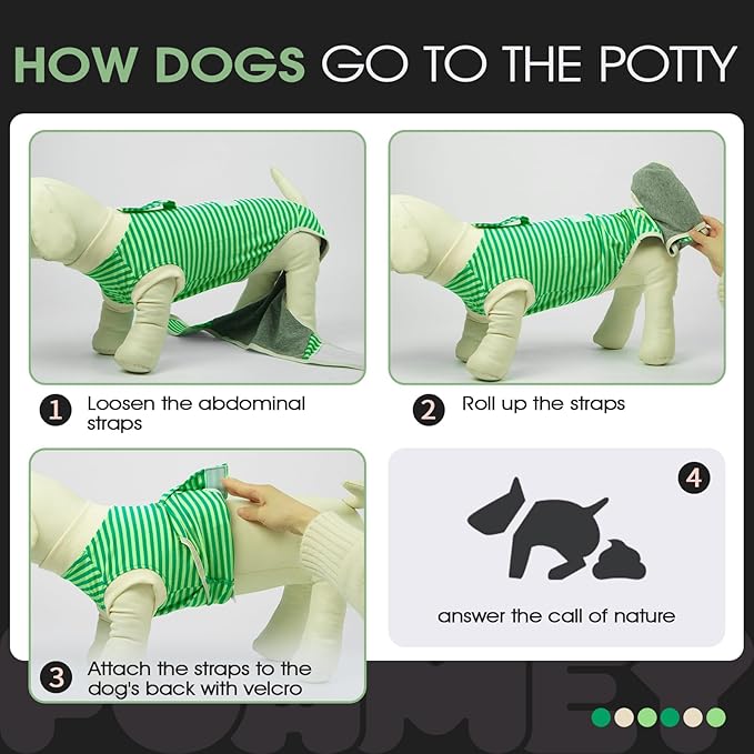 FUAMEY Dog Recovery Suit Male,Dogs Surgery Neuter Suits Puppy Spay Shirts for Female Protect Dog's Skin Anti Licking Abdominal Wounds Doggie Onesie Pet Bodysuit Alternative to Cone Green Stripes XXL-PawvioPets