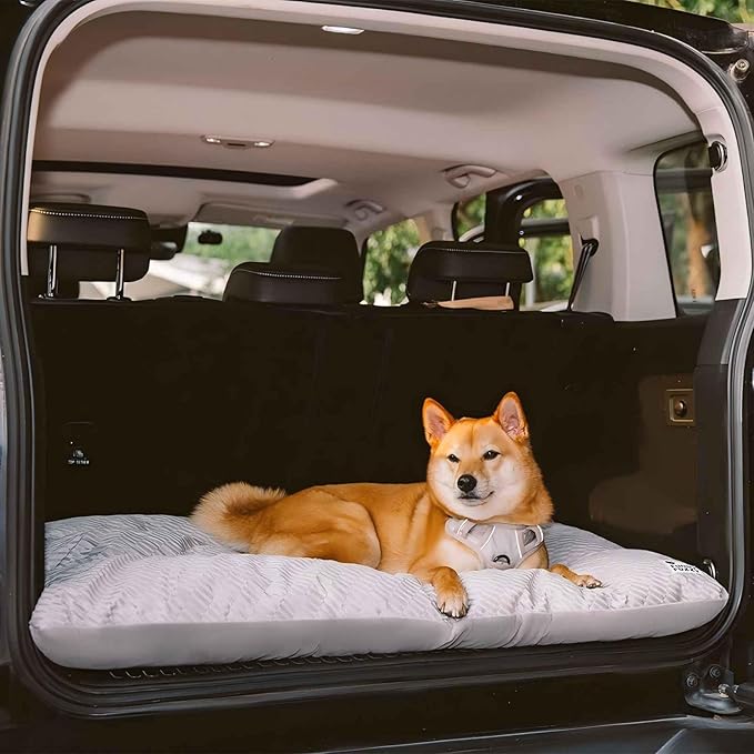 FUNNY FUZZY Washable Dog Bed,Reversible Plush Dog Crate Mat, Soft Fluffy Kennel Pad,Pet Sleeping Mattress for Large,Jumbo,Medium Sized Dogs Breeds,Indoor Cats,41.7" × 28.3", Light Grey-PawvioPets