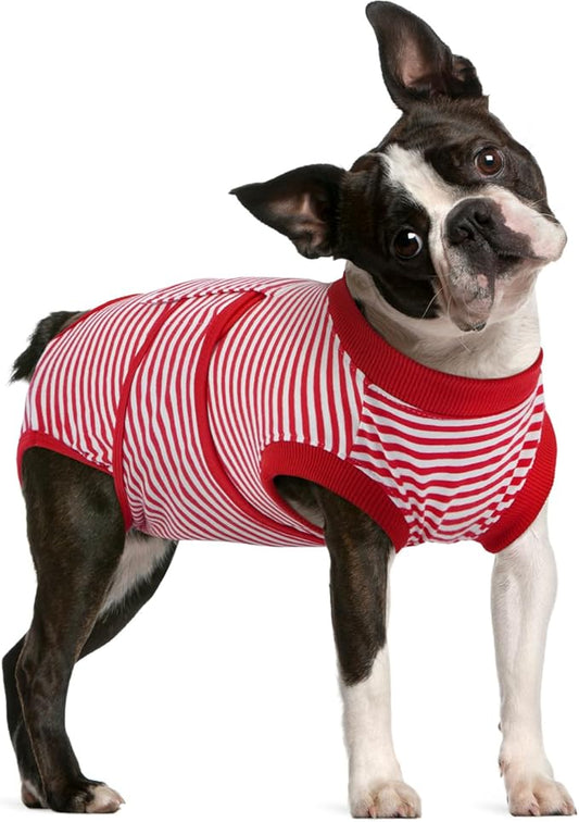 FUAMEY Dog Recovery Suit Male,Dogs Surgery Neuter Suits Puppy Spay Shirts for Female Protect Dog's Skin Anti Licking Abdominal Wounds Doggie Onesie Pet Bodysuit Alternative to Cone Red Stripes M-PawvioPets