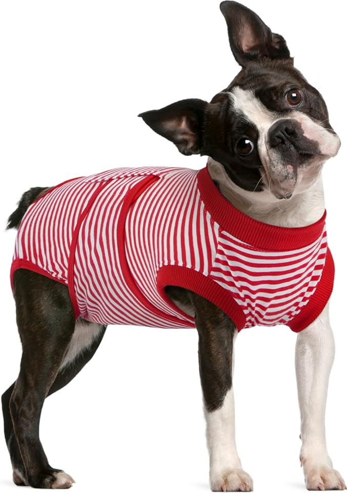 FUAMEY Dog Recovery Suit Male,Dogs Surgery Neuter Suits Puppy Spay Shirts for Female Protect Dog's Skin Anti Licking Abdominal Wounds Doggie Onesie Pet Bodysuit Alternative to Cone Red Stripes L-PawvioPets