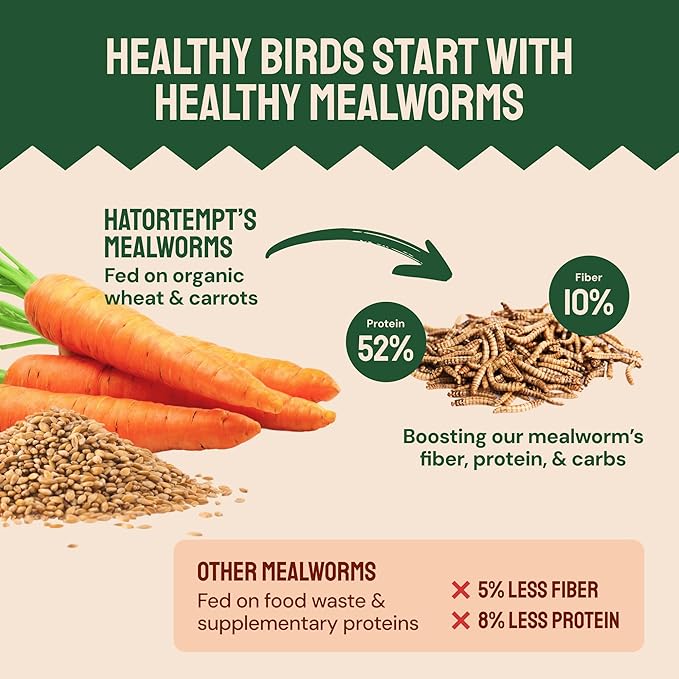 Dried Mealworms - 2 Lb Bag - High Protein Chicken Feed, Mealworms for Birds & Chickens - Meal Worms for Wild Birds & Turtles-PawvioPets
