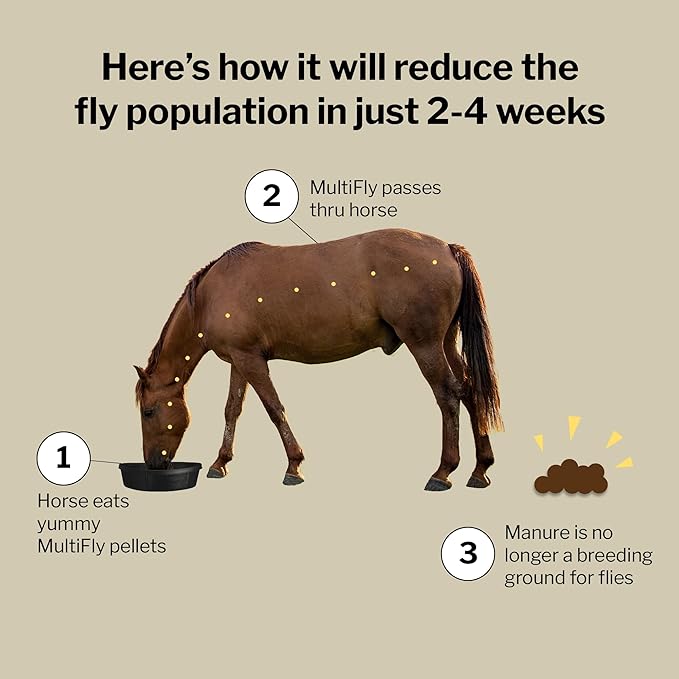 Formula 707 MultiFly Feed-Thru Fly Control Pellets for Horses - Palatable & Safe Fly Population Reduction (5 lb Bag - 91 Servings)-PawvioPets