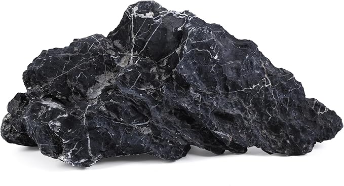22-24 Inches Natural Seiryu Stone 1 PCS Ultra Large Aquarium Rocks for Aquascaping, Aquarium Landscaping, Terrariums, Fish Tank Decoration, Vivariums, Paludarium, Amphibian Enclosures-PawvioPets