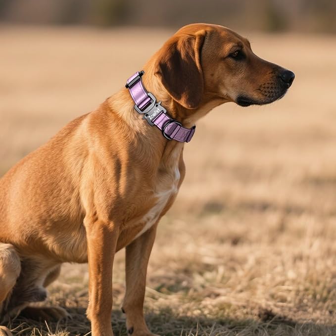 AirTag Dog Collar - Leather Dog Collar with Airtag Holder | IP68 Waterproof AirTag Holder with Metal Buckle, Comfortable GPS Dog Collars Tracker for Medium Large Dogs (Rose Gold, L)-PawvioPets