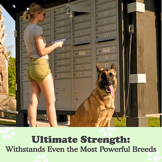 Canine Hitch- Secure Dog Leash Parking Mounted Indoor – Outdoor Wall Hook - Tie Out Stainless Steel Practical Lead Management for Home & Business, Ultimate Strength 2 Pack-PawvioPets