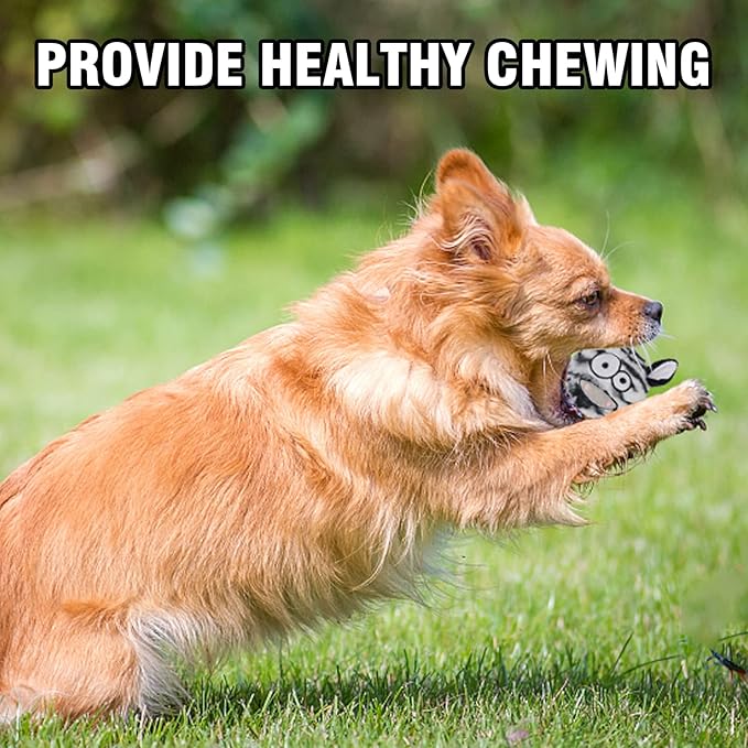 DKING 3Pack Squeaky Dog Balls,2 in1 Funny Puppy Ball Toys,Birthday Dog Toy for Small Medium Dogs (Animal Ball)-PawvioPets