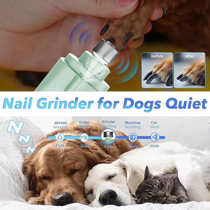 2 in 1 Dog Nail Clippers and Grinder with Lights & Cat Nail Clipper for Large Medium Small Dogs Cats Nail Trimmers USB Rechargeable with 2 LED Lights Dog Claw Care for Non-Black Nails-PawvioPets