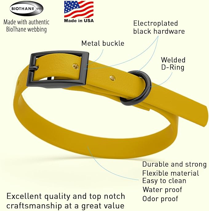 Dogline Biothane Waterproof Dog Collar Strong Coated Nylon Webbing with Black Hardware Odor- Proof for Easy Care Easy to Clean High Performance Fits Small Medium or Large Dogs, Treasure Gold-PawvioPets