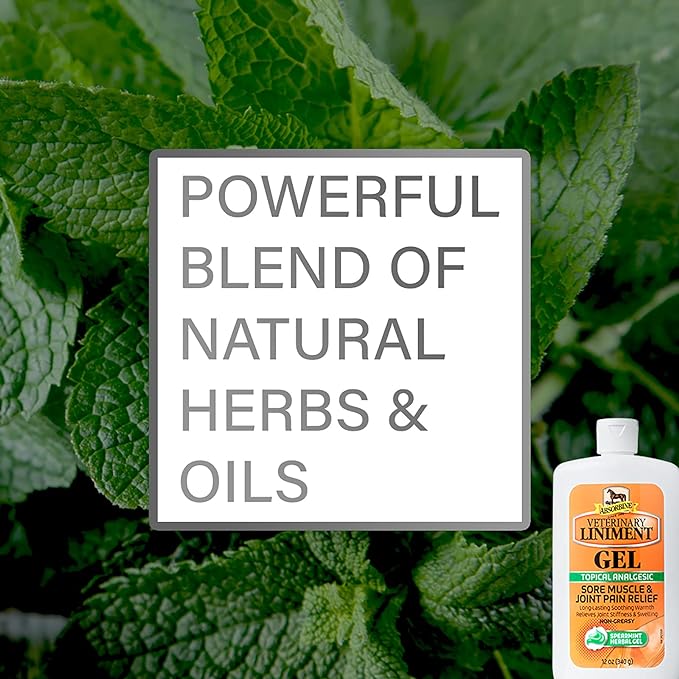 Absorbine Veterinary Liniment Gel, Topical Menthol Analgesic Rub for Sore Muscle, Joint & Arthritis Pain Relief, 12oz Bottle 2-Pack-PawvioPets