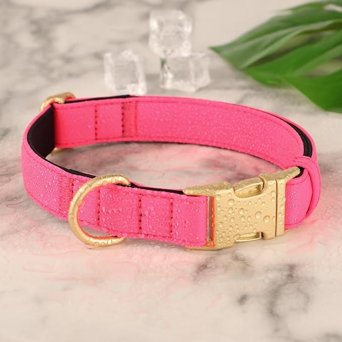 Didog Soft Padded Dog Collars for Small Dogs, Colorful and Durable Dog Collar with Quick Release Buckle, Light and Breathable for Daily Walking, Pink, S-PawvioPets