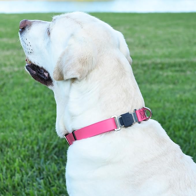 Dogline Biothane Waterproof Dog Collar with Herm Sprenger Stainless Steel Quick Release Buckle – Heavy Duty Tactical Durable Collar for Dogs – Comfortable and Safe Pet Collar, W 3/4" L 12-19", Pink-PawvioPets