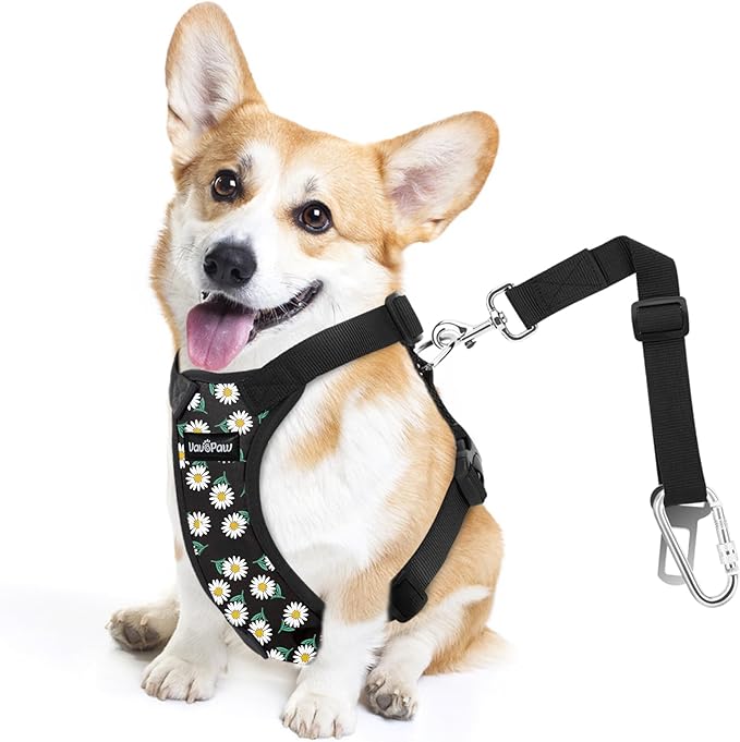 Dog Seat Belt, Safety Vest Dog Car Harness with Adjustable Buckle Dog Seat Belt for Vehicle Nylon Pet Safety Seat Belts Heavy Duty(S, Black Daisy)-PawvioPets