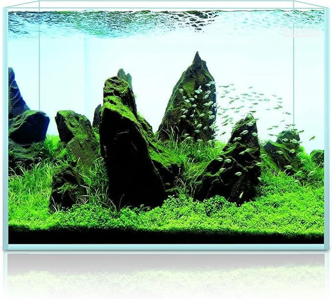 2.5 Gallon Rimless Aquarium Tank, Ultra Clear Low Iron Nano Fish Tank for Betta Shrimp, L11.8×W5.5×H9.8 Glass Thickness 5mm with EVA Foam Leveling Mat-PawvioPets