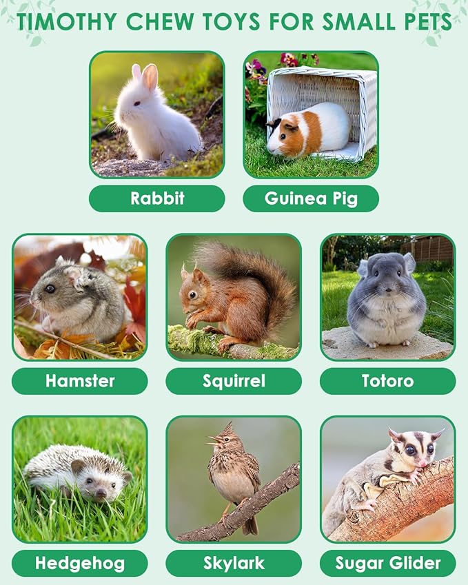 ERKOON 53 Bunny Chew Toys for Rabbits Teeth, Natural Rabbit Toys Apple Wood Sticks, Carrot, Timothy Grass for Small Pets, Hamster, Chinchilla, Guinea Pig Dental Care and Treat Teething(53)-PawvioPets