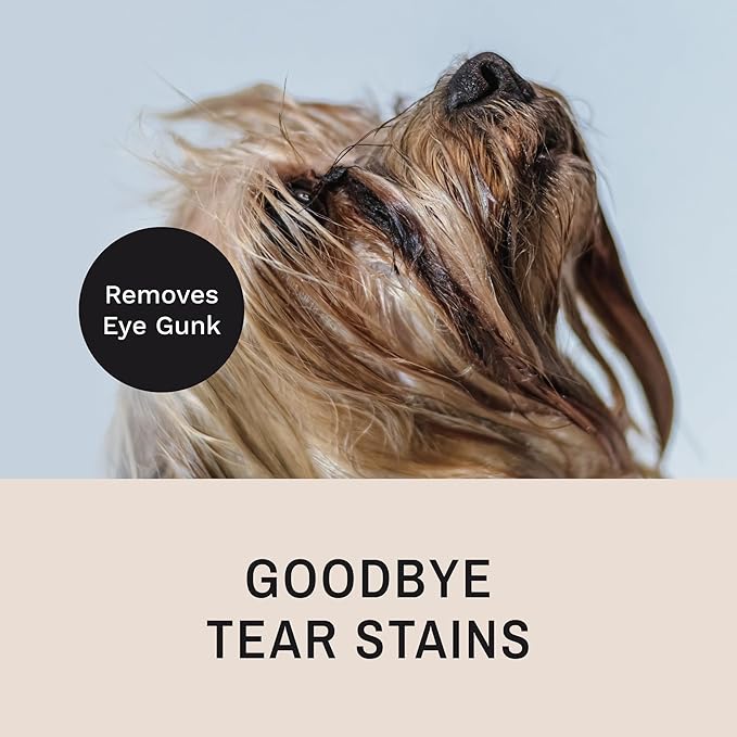 Eye Envy Tear Stain Remover Comb for Dogs and Cats. Fine/Coarse with 80 Rounded Pins. Gently Remove Crusty Eye Debris, Gunk and Boogers. Face and Feet Comb. Remove Tangles-PawvioPets