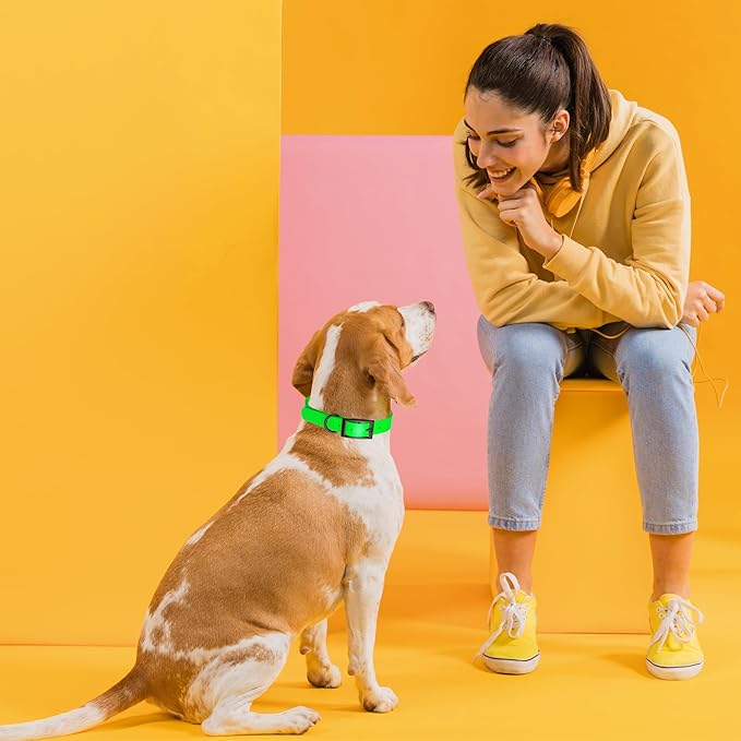 Dogline Biothane Waterproof Dog Collar Strong Coated Nylon Webbing with Black Hardware Odor- Proof for Easy Care Easy to Clean High Performance Fits Small Medium or Large Dogs, Tropical Green-PawvioPets