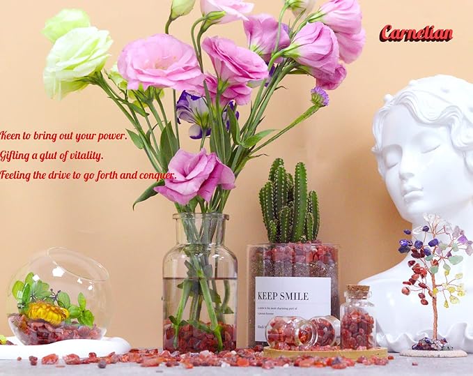 Carnelian Aquarium Gravel Rocks Natural Tumbled Healing Crystal Chips Bulk Gemstones Tumbled Crushed Stones for Fountain Vase Filler Planters Decorative Fish Tank Potted Reiki Energy Balancing 0.44lb-PawvioPets