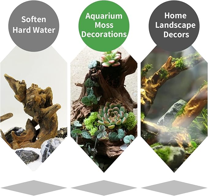 5 Pcs Driftwood Branches Aquarium Wood Decoration Natural Fish Tank Habitat Decor Wood for Lizard Assorted Size-Small-PawvioPets