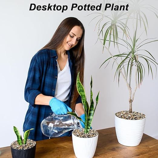 Decorative Rocks for Potted Plants,Virekm River Rocks, Decorative Ornamental Pebbles,Garden Landscaping Stones Gravel Filler for Home Decoration Flower Bed Fish Tank Plants Vases Succulents (5 Pounds)-PawvioPets