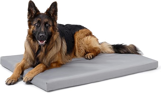 Cybarmour Indestructible Dog Bed - Outdoor Waterproof Chew Proof Dog Crate Pad - Orthopedic Kennel Mat for Aggressive Chewers - Extra Large Breeds & Fits 48-Inch Crate - 47"x29", Limestone-PawvioPets