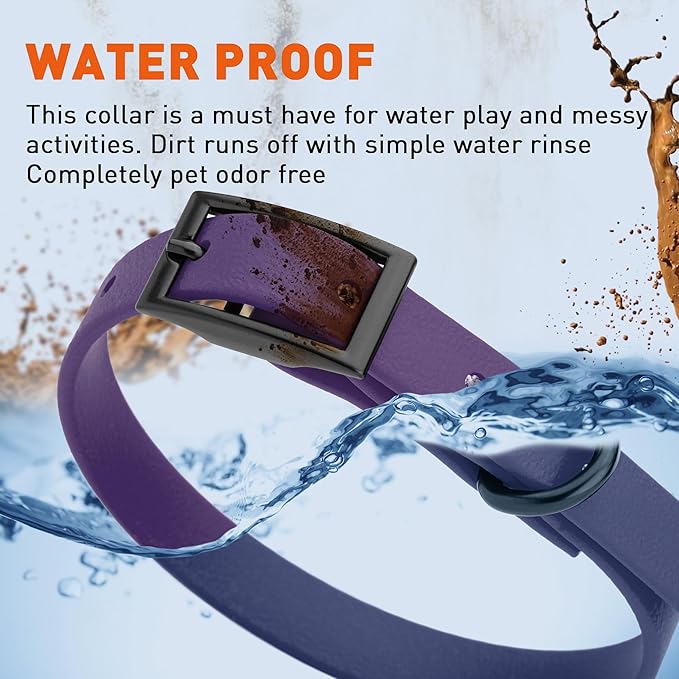 Dogline Biothane Waterproof Dog Collar Strong Coated Nylon Webbing with Black Hardware Odor- Proof for Easy Care Easy to Clean High Performance Fits Small Medium or Large Dogs, Violet Purple-PawvioPets