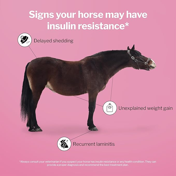 Formula 707 MetaStable Pellets for Horses 5 lb Bag – 40 Servings – University-Studied Support for Horses with Laminitis, Insulin Resistance & Metabolic Disorders-PawvioPets