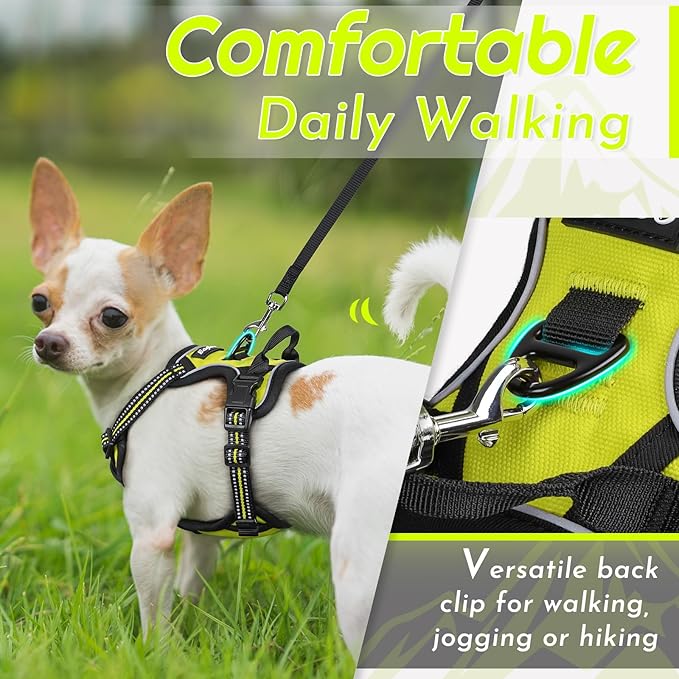 Eagloo Small Dog Harness No Pull, Service Vest with Reflective Strips and Control Handle, Adjustable and Comfortable for Walking, No Choke Pet Harness with 2 Metal Rings, Green, XS-PawvioPets
