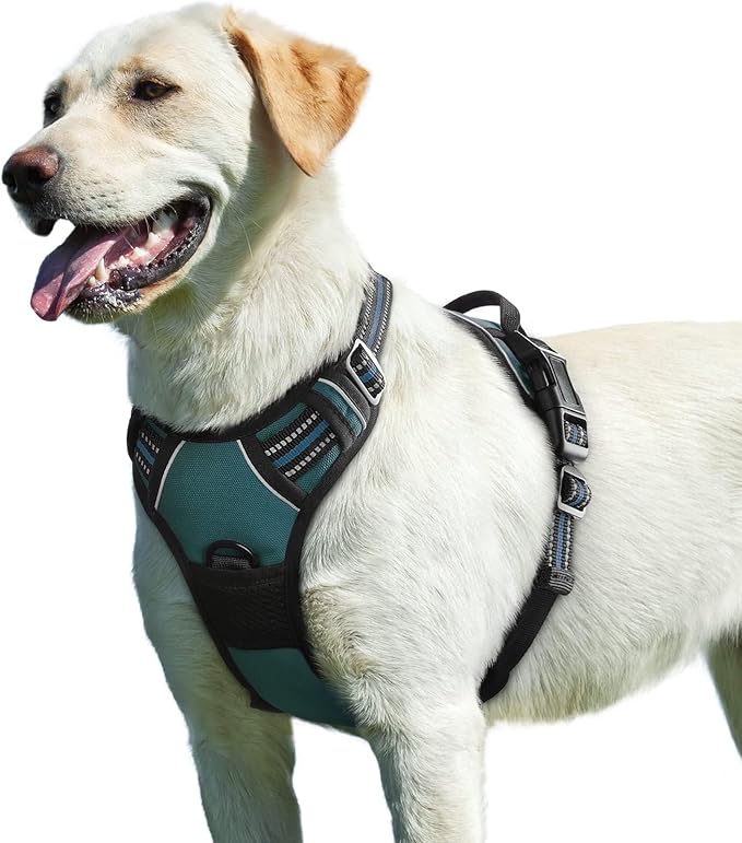 Eagloo Dog Harness for Large Dogs, No Pull Service Vest with Reflective Strips and Control Handle, Adjustable and Comfortable for Easy Walking, No Choke Pet Harness with 2 Metal Rings, Dark Green, L-PawvioPets