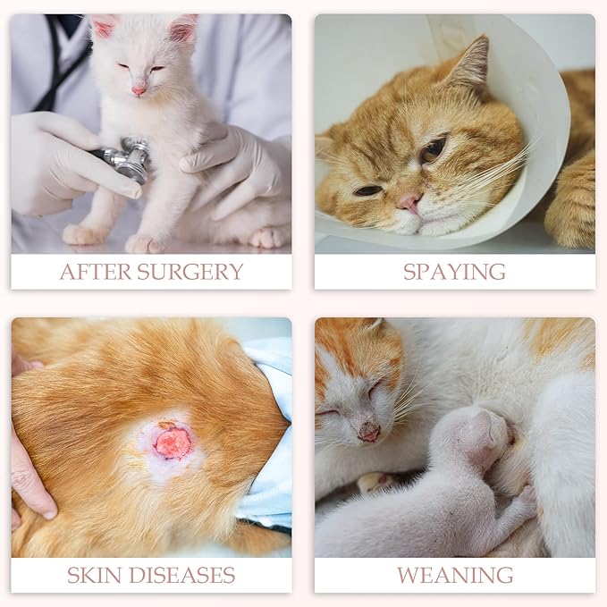 ANWA 2 Pack Cat Recovery Suit - Breathable Cat Onesie for Cats After Surgery Female, Kitten Surgery Recovery Suit Female Abdominal Wounds-PawvioPets