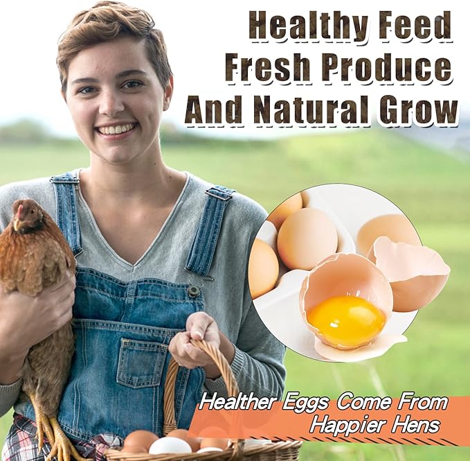 Dried Black Soldier Fly Larvae 20LBS, 85X More Calcium Than Mealworms High-Protein BSF Larvae Chicken Treats Non-GMO BSFL for Chickens, Hens, Ducks, Wild Birds-PawvioPets