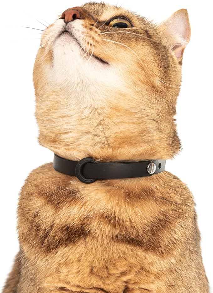 5 Pack Breakaway Cat Collar - Soft, Comfortable, and Lightweight Safety Buckle Collar with ID Tag Ring for Outdoor Cats and Kittens by Nuvuq (6 ⅞" to 10 ¼", Red, Orange, Pink, Blue and Black)-PawvioPets