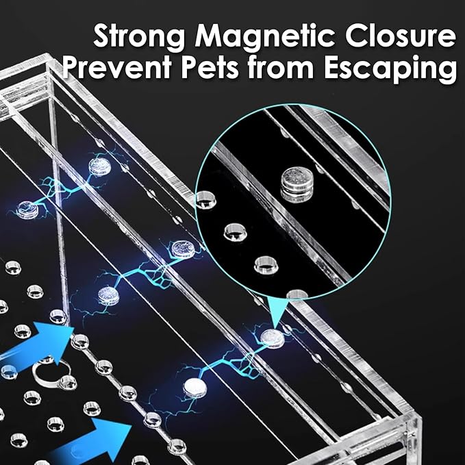 Acrylic Reptile Terrarium Enclosure 9.8" x 5.9" x 5.9" Magnetic Tarantula Breeding Box Transparent Insect Habitat for Jumping Spider Hermit Crab Lizard Sling Isopods Horned Frog Snake Gecko-PawvioPets