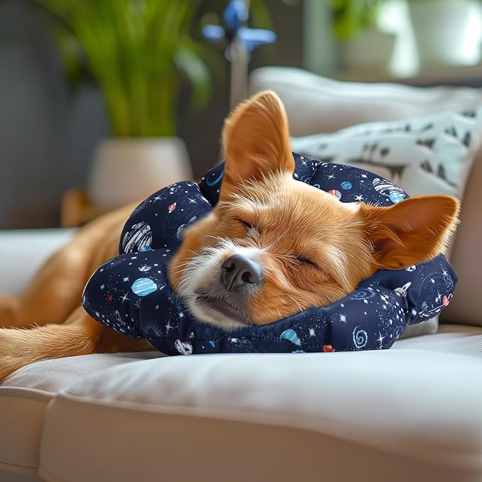 ComSaf Soft, Protective Adjustable Cat Cone Collar to Stop Licking After Surgery, Comfortable Lightweight Elizabethan Collar for Large Cat and Small Dog, Dog Recovery Collar Prevents Licking Wounds-PawvioPets