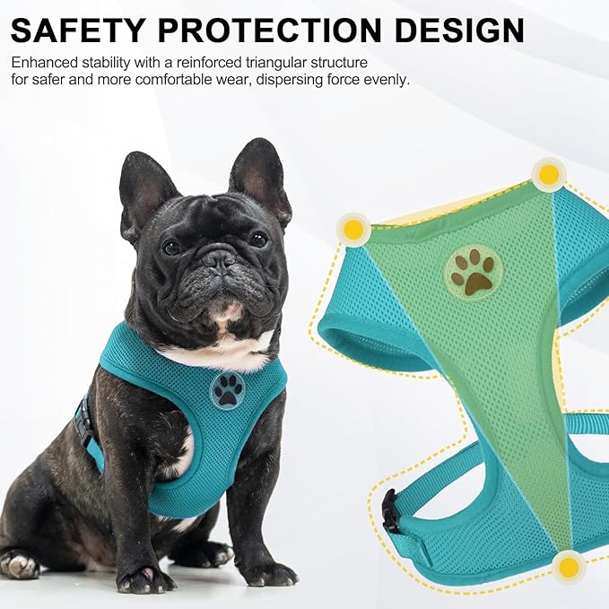 BINGPET Small Dog Harness - Breathable Mesh Puppy Cat Harnesses - No Pull Adjustable Dog Harness Dog Vest Harness for Small and Medium Dogs-PawvioPets