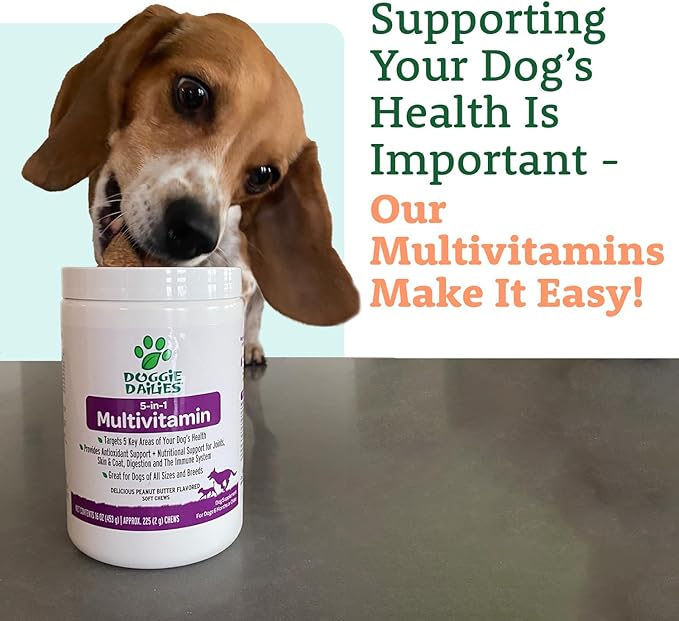 Doggie Dailies 5 in 1 Multivitamin for Dogs, Dog Multivitamin for Skin and Coat Health, Joint Health, Improved Digestion, Antioxidants, Support a Healthy Immune System (Peanut Butter) 225 Soft Chews-PawvioPets
