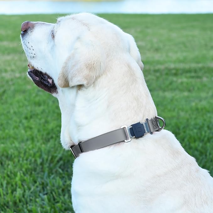 Dogline Biothane Waterproof Dog Collar with Herm Sprenger Stainless Steel Quick Release Buckle – Heavy Duty Tactical Durable Collar for Dogs – Comfortable and Safe Pet Collar, W 1" L 15-25", Gray-PawvioPets