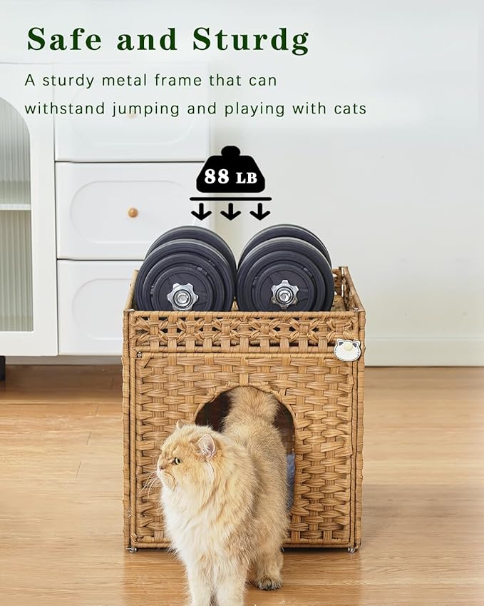 Cat Beds for Indoor Cats Extra Large Double Cat Cave Pet Cube, Handwoven Rattan Cat Houses with Double-Sided Soft Cushions, 18.5 x 20.5 x 19.1 Inches Foldable Hideaway in Living Room Natural-PawvioPets
