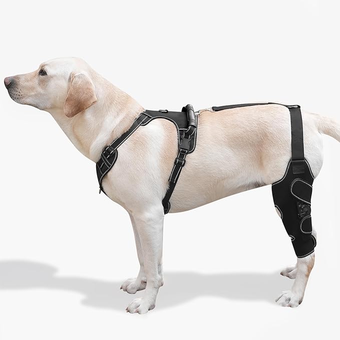 Dog Knee Brace with Adjustable Support – ACL & CCL Tear Recovery, Post-Surgery Stabilization, Mobility Aid for Rear Legs – Includes Secure Chest Harness for Dogs(Left,M)-PawvioPets