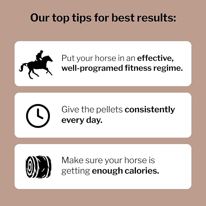 Formula 707 MuscleMx Equine Supplement, 3lb Bag – Conditioning Support and Muscle Builder for Horses with Lysine, Gamma Oryzanol, Creatine & OKG-PawvioPets