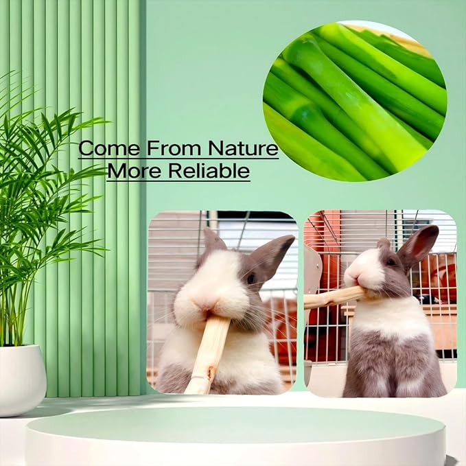 700g/1.5lb Sweet Bamboo Sticks for Rabbits Bunny Chew Toys,Chinchilla Molar Treats Chew Sticks for Small Animals Rabbits Hamsters Guinea Pigs-PawvioPets