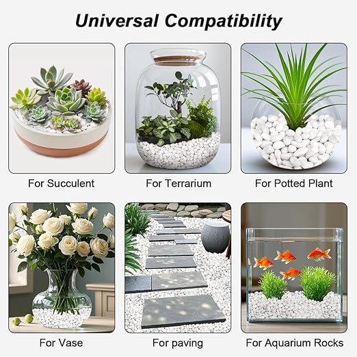 Aquarium Gravel,Landscaping Pebbles, Decorative Ornamental Pebbles Garden,Landscaping Stones Gravel Filler for Home Decoration Flower Bed Fish Tank Plants Vases Succulents (10 Pounds, White)-PawvioPets