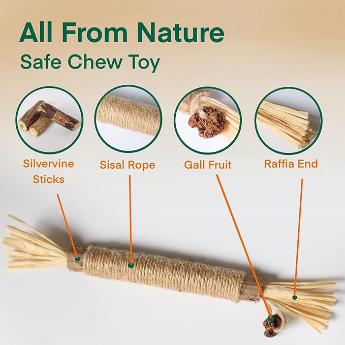 8.66 inches Silvervine Sticks Cat Toys, Natural Catnip Kittens Chew Toy for Teeth Cleaning,Big Catmint Blend Stick, Dental Kitty Chews for Indoor(5 Pack)-PawvioPets