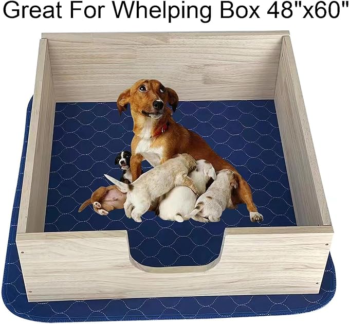 2Pack Dog Pads Washable 53”x65”, Extra Large Puppy Pads Waterproof, Super Absorption, Anti Skid Whelping Pad for Puppy Pen-PawvioPets