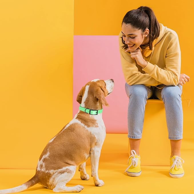 Dogline Biothane Waterproof Dog Collar Strong Coated Nylon Webbing with Black Hardware Odor- Proof for Easy Care Easy to Clean High Performance Fits Small Medium or Large Dogs, Sea Foam Green-PawvioPets