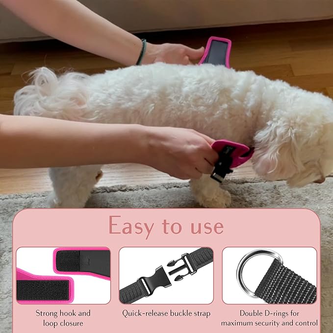 Comfort fit Step-in Dog & Puppy Harness - Comfortable All Weather Dog Vest Harness: Adjustable, Soft Padded, Easy to Put-on for Small, Medium-Sized Dogs.-PawvioPets