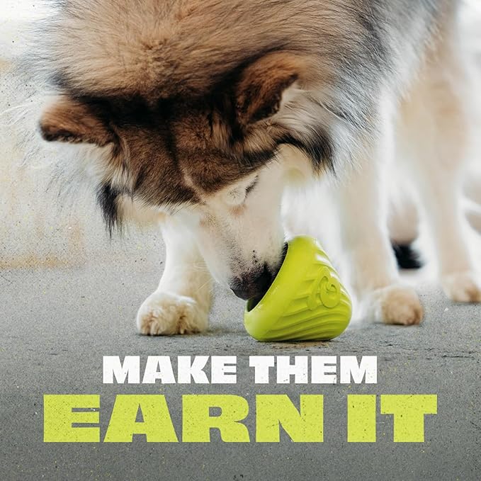 Benebone Natural Rubber Cone Interactive Enrichment Treat Dispensing Dog Toy - Slow Feeder - Great for Meals and Boredom-PawvioPets