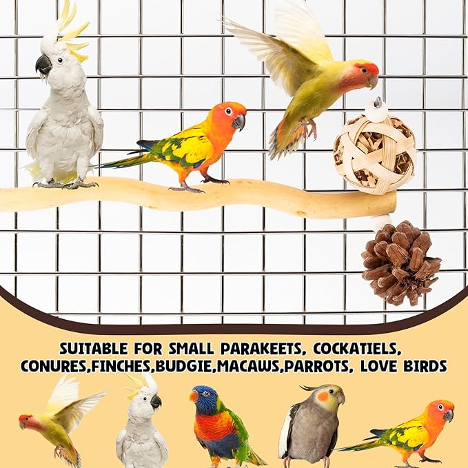 Bird Toys Perch Stand for Cage with Pine Cones, Natural Parrot Toys, Small Chewing Sticks Toys Bird Cage Accessories for Conures Parakeets Cockatoo African Grey Parrots (1PCS)-PawvioPets