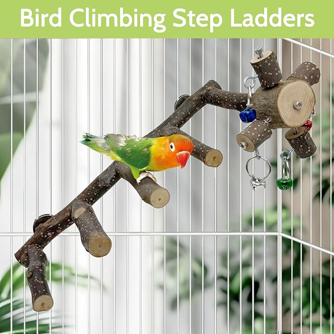 BNOSDM Natural Wood Bird Ladder Perch 6Pcs Parrot Stand Branches Climbing Chewing Stick Parakeet Swing Toys Cage Accessories Paw Grinding Fork Sets for Lovebirds Cockatiels Conure Budgies-PawvioPets