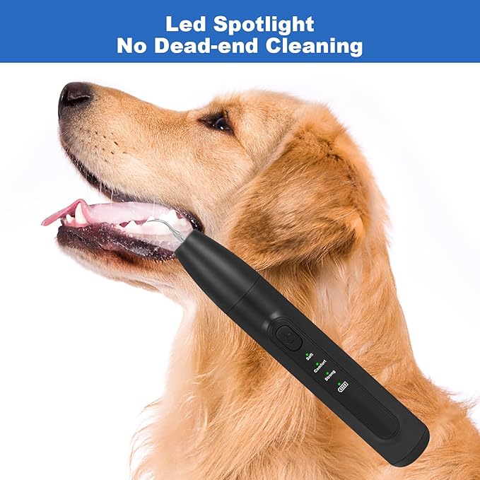 Dog Tooth Brushing Kit,Dogs Teeth Cleaning Kit with Light,3 Modes Doggie Plaque and Tartar Remover for Teeth,Low Noise Dog Teeth Cleaner and Dental Care, Black1-PawvioPets
