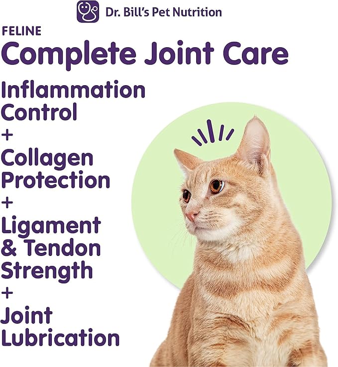 Dr. Bill’s Feline Complete Joint Care | Advanced Hip & Joint Supplement for Cats | Green Lipped Mussel Extract, Collagen Type II, Chondroitin, Hyaluronic Acid, Omega 3 and Colostrum | Powder, 85g-PawvioPets